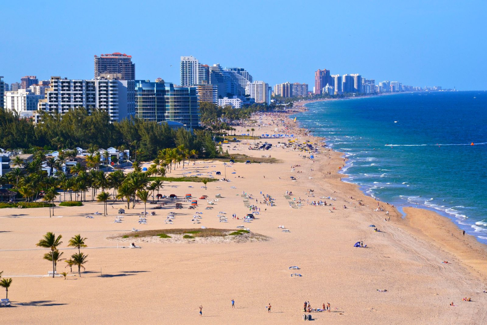 South Palm Beach - Dixon Law Firm Long sandy beach with palm trees and high-rise buildings along the coast on a sunny day.